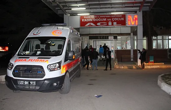 Cinnet getiren damat dehşet saçtı