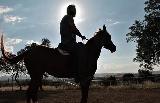 Müdürlüğü bıraktı, at çiftliği açtı