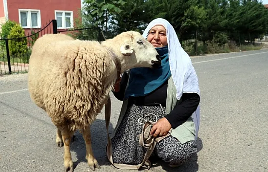 Bayram ikramiyesiyle aldığı kurbanı Erdoğan kazanınca kesti