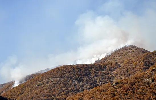 Tunceli'de PKK'ya büyük darbe