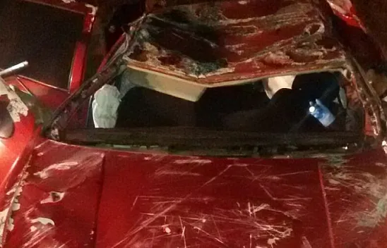 Elazığ'da feci kaza