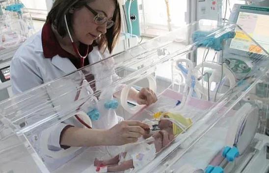 Nuh bebek, ölen annesinin sütüyle hayata tutunacak