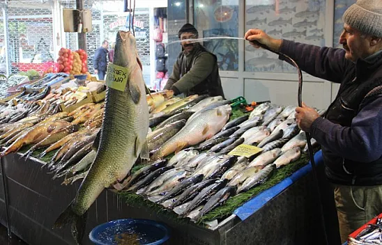 Bu balık Elazığ'da yakalandı