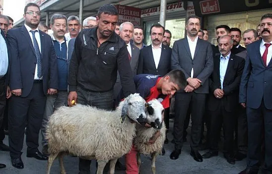 Harekata katılan Mehmetçik için kurban kesildi, dua edildi