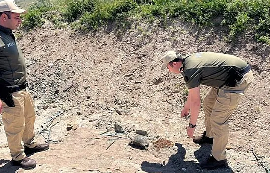 HAYDİ'nin kaplumbağa duyarlılığı