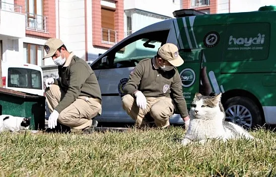 Hayvanları koruma polisi, sokak hayvanlarını besledi
