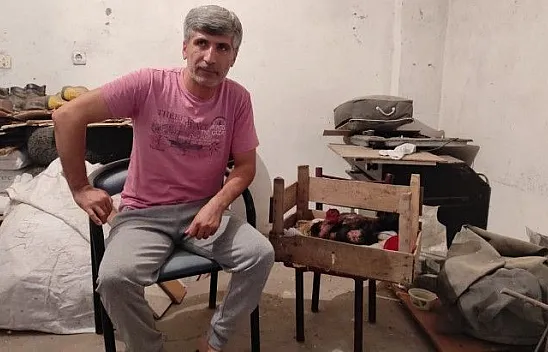 Horoz kuluçkaya yattı, görenler gözlerine inanamadı