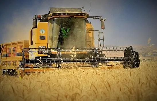 Hububatta verimli yıl, hasat devam ediyor
