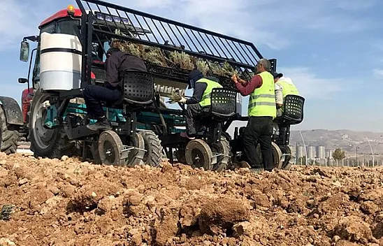 İpek Yolu Gençlik Merkezi'nden lavanta parkı