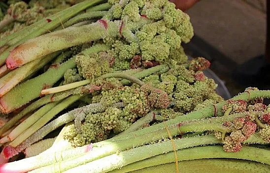 Işkın tezgahlarda yerini aldı