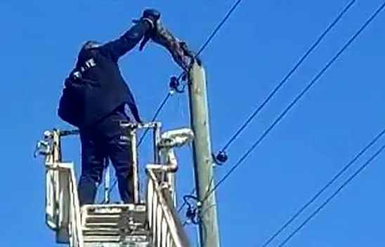 İtfaiye ekipleri kedinin yardımına yetişti