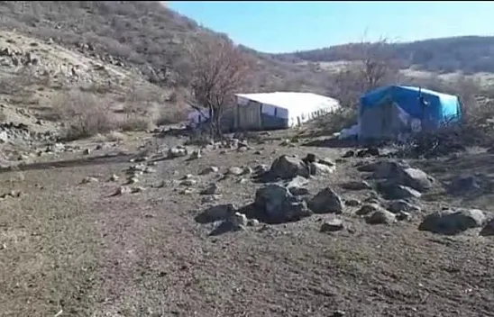 İzdiham yaşanan ağılda 16 koyun telef oldu