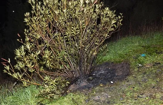 Yanan valizin içerisinden ceset çıktı!