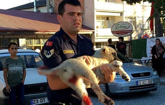 Jandarma ekiplerinden duygulandıran hareket