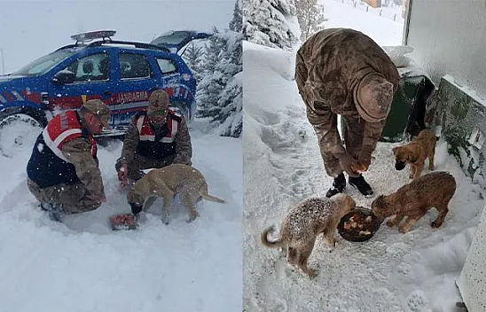 Jandarma ekiplerinden yürekleri ısıtan hareket