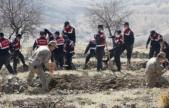 Jandarma, Harput'a fidan dikti
