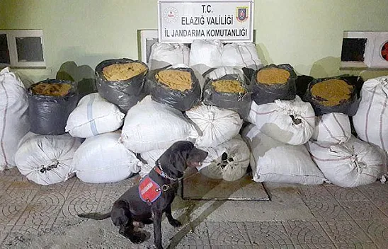Jandarmadan kaçak tütün operasyonu