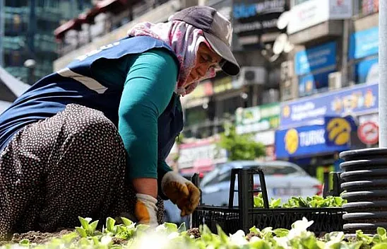 Kadın eli, kente bahar getiriyor
