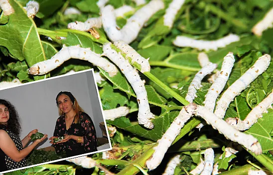 Kadın girişimcilerden gelir kapısı!