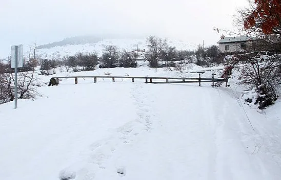Kar direkleri devirdi, köy ve mezralar elektriksiz kaldı