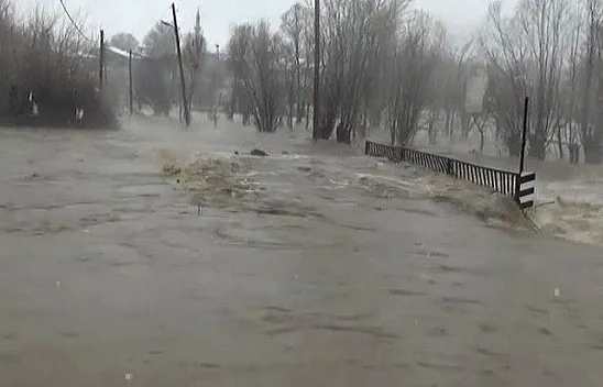 Karakoçan'da yağmur dereleri taşırdı