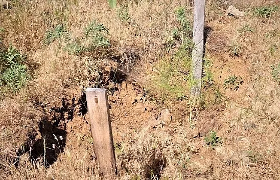 Katil baba mezar bile kazmış!