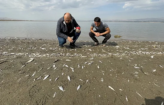 Keban Baraj Gölü'ndeki balık ölümleri İnceleniyor