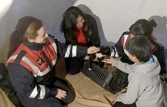 Kedisini kaybeden küçük depremzedeye kedi sürprizi
