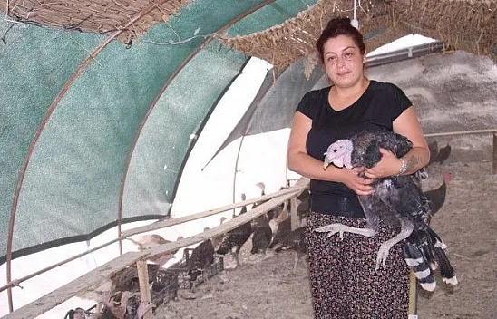 Kendi çiftliğini kurdu çevresine örnek oldu