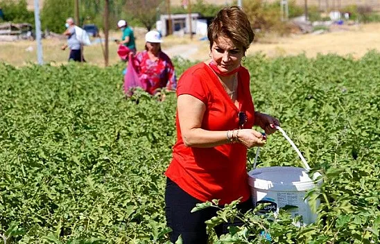 'Kendi Sebzeni Kendin Topla' ne alırsan 3 TL