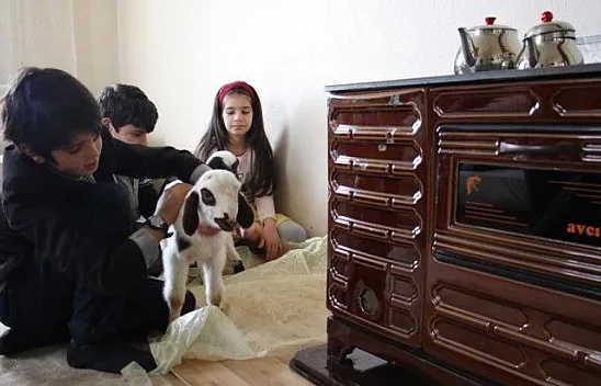 Kış günü doğan kuzulara soba kenarında bakılıyor