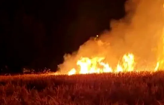 Kıvılcım ekili alanı küle çevirdi