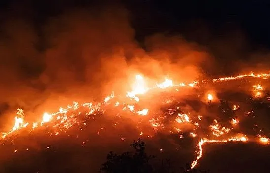 Kontrol altına alınan yangın yeniden alevlendi