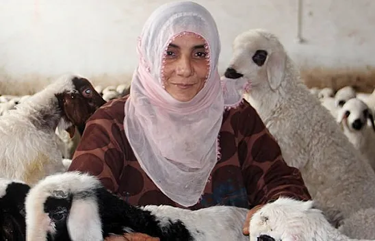 Köye yerleşti, devletten aldığı destekle çiftlik kurdu