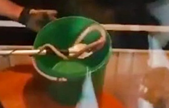 Kültür Mahallesi'nde yılan paniği