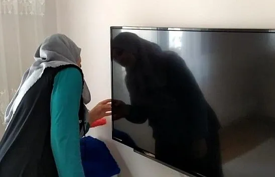 Kurtçuk televizyona yuva yaptı, aile neye uğradığını şaşırdı