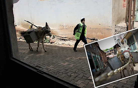 Maden'in 'kadrolu eşekleri' iş başında