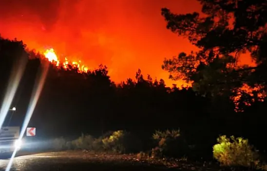 Marmaris'te orman yangını!