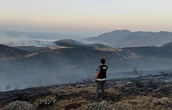 Mastar Dağı'nda yangın