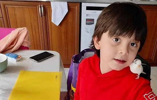 Mehmetçik muhabbet kuşunu bulup, küçük Doruk'a ulaştırdı