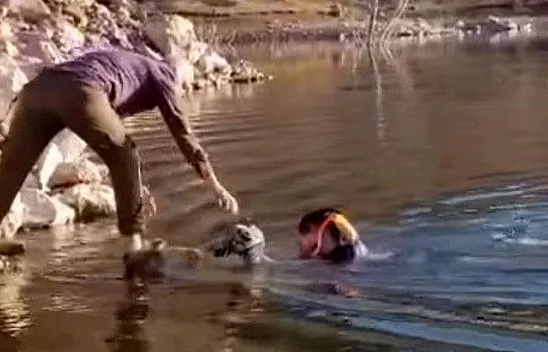 Muhtardan örnek davranış