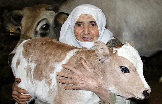 Mutluluğun fotoğrafı