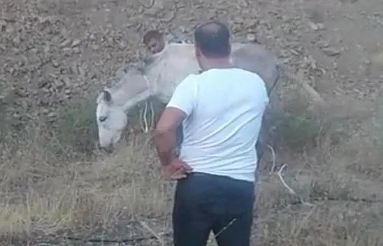 Ölüme terk edilen atı kurtardılar