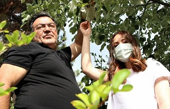 Ormancı babadan örnek uygulama