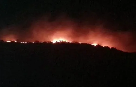 Ormanlık alan cayır cayır yandı