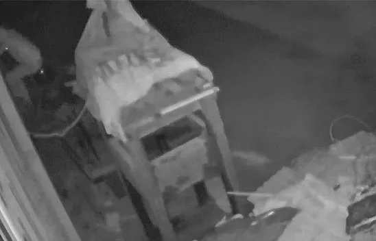 Örümcek adam gibi hırsız