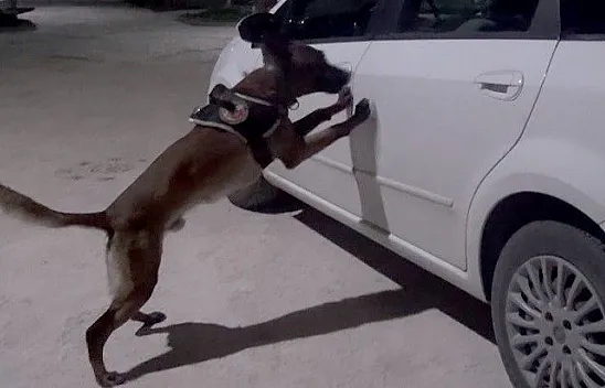 Otomobilde poşet poşet uyuşturucu ele geçirildi