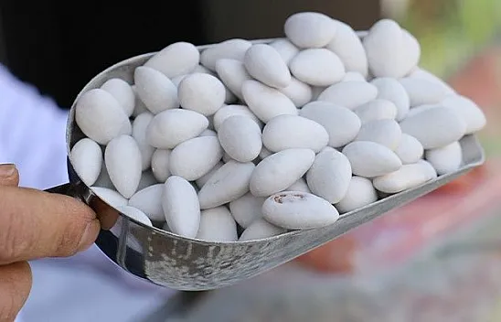 Ramazan geldi, badem şekerine ilgi arttı