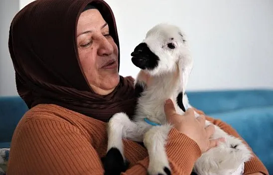 Sahiplendiği kuzu, hem evinin neşesi, hem de terapisi oldu