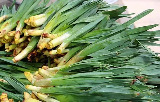 Şifa kaynakları tezgahlarda yerini aldı